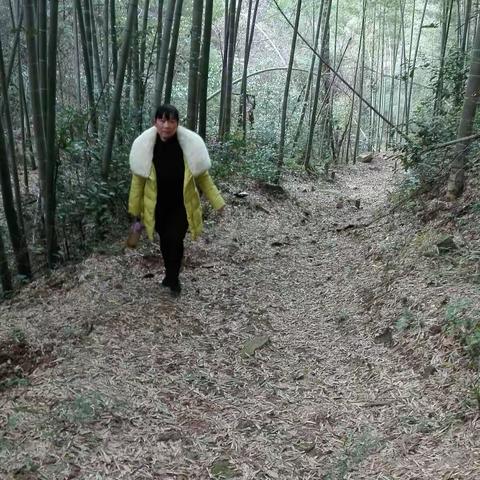 2017年12月31日重游香山冲（副本）