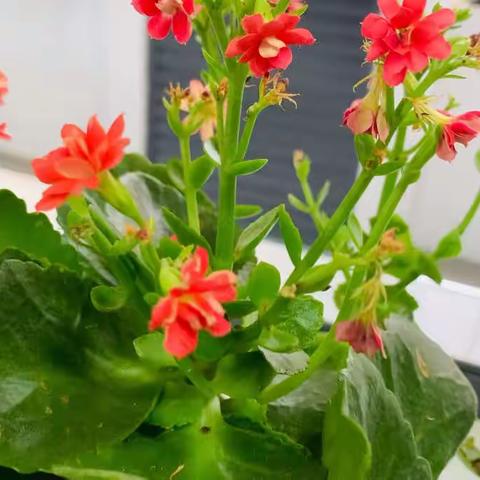 创建文明校园，我们在行动