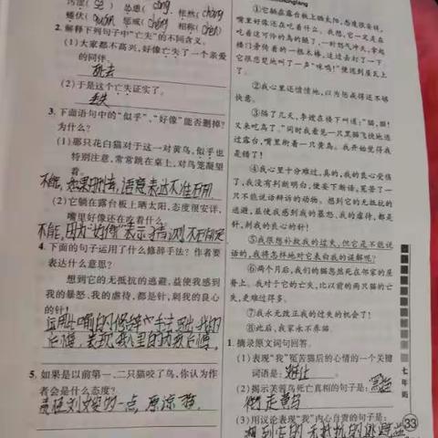 廖一卓语文作业