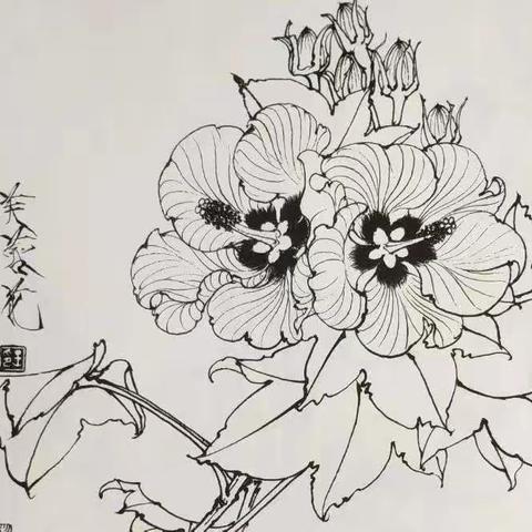 天才美校种子计划——白描花卉