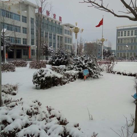 我眼中的景