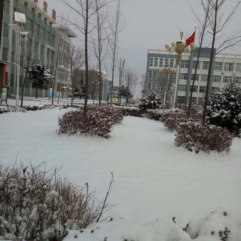瑞雪纷飞