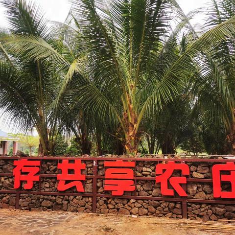 澄迈才存共享农庄+解放海南决战胜利纪念园
