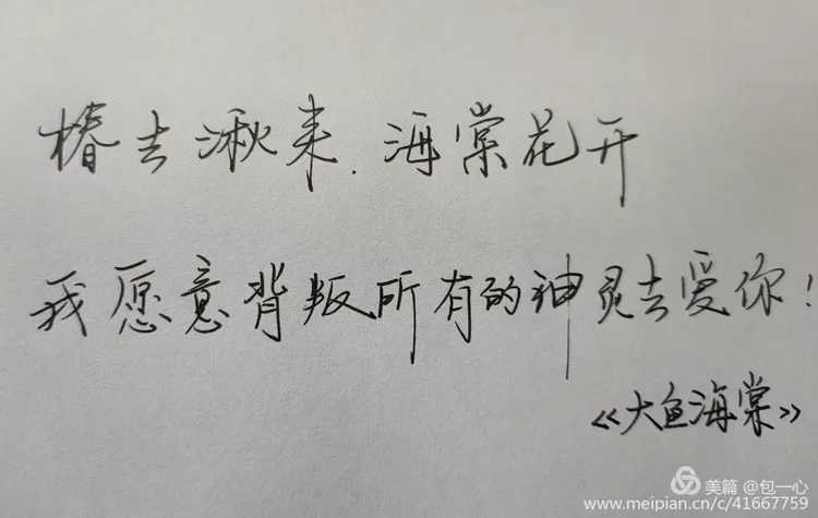 大鱼海棠影评500字