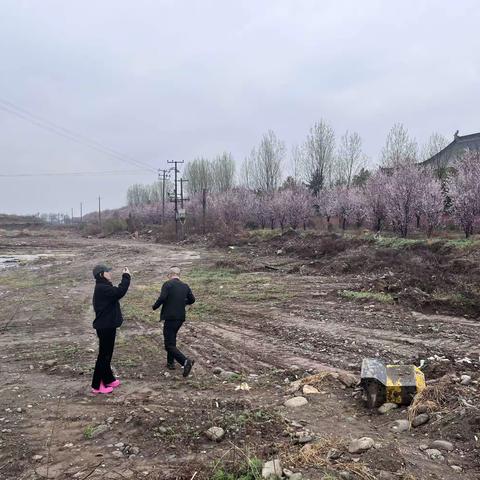 2023年3月16日集贤镇秦岭北麓网格化工作纪实