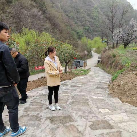 2023年3月22日集贤镇秦岭北麓网格化工作纪实