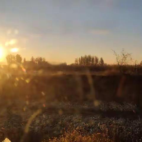 以智慧教书，用情感育人 —2020建平县新任教师培训会