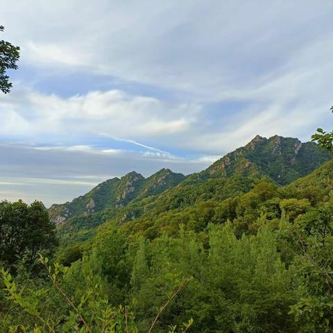 宜阳花果山