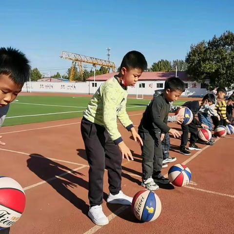 雏鹰展翅  篮球飞扬                                                        ——我们的篮球宝贝儿