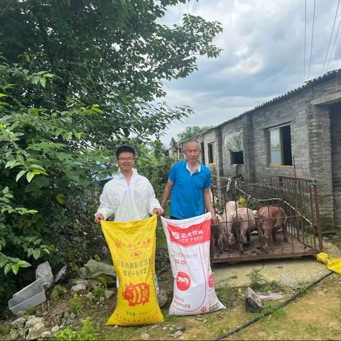 骆驼552对比正大552ZDT