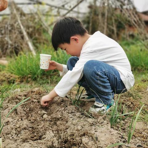 新纪元幼儿园欢度植树节