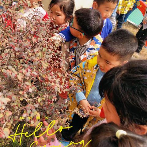 合肥市玉镜路幼儿园中一班“印染在春天”主题活动