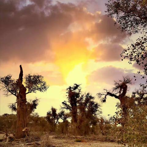 2019秋季环疆自驾游之七