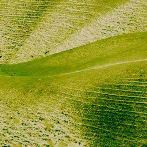 2019秋季环疆自驾游之二