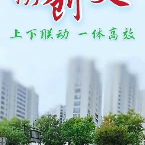 上下合力 众志成城|资产公司全力推进城市创建新高度