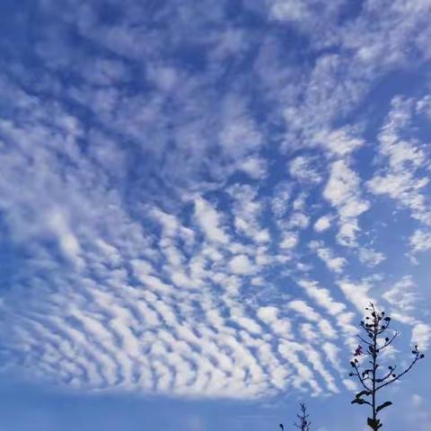 水晶天