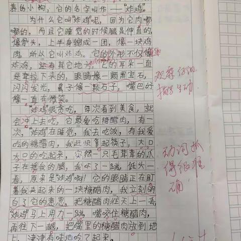 我喜欢的一种小动物  三7班优秀习作选