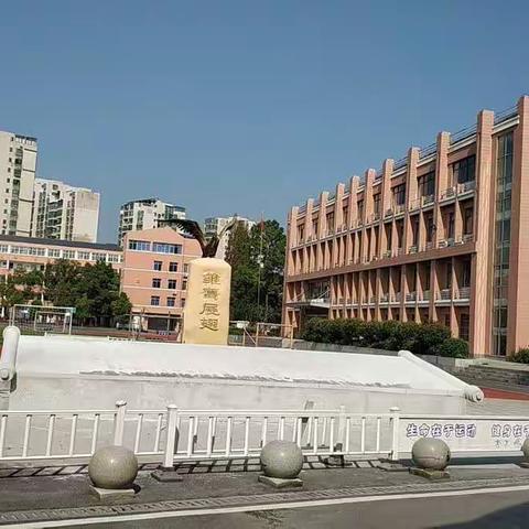青蓝携手共成长，教学相长研先行——实验小学召开语文教研研讨会