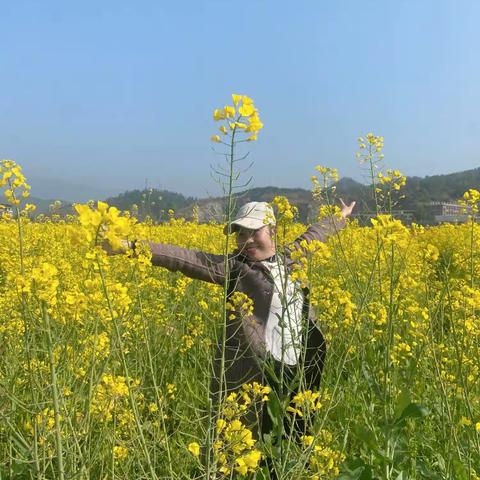 油菜花🌸桃花撞满怀