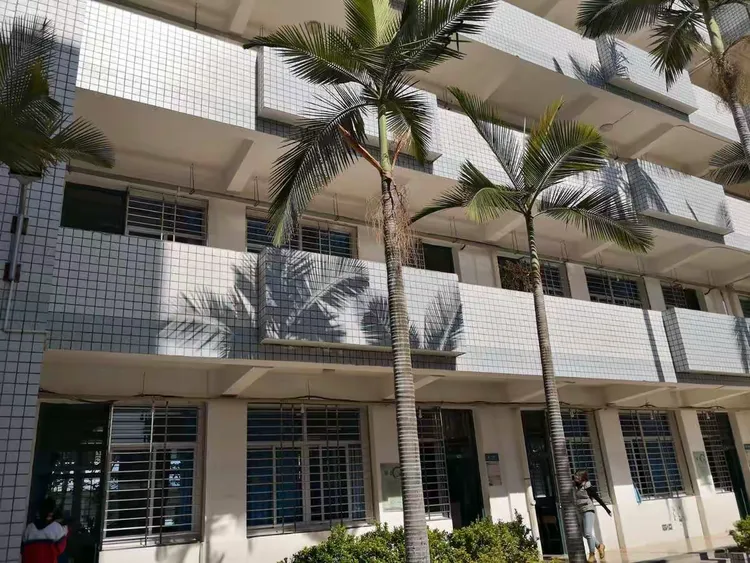 赴杏南中学参观学习活动随记