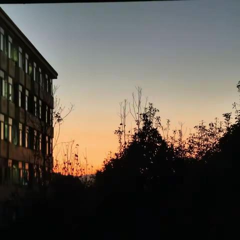 昆明学院教师教育学院2020级小学教育(5)班“网络写作”练笔——校园之夜