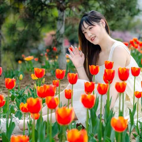 阳春三月百花开