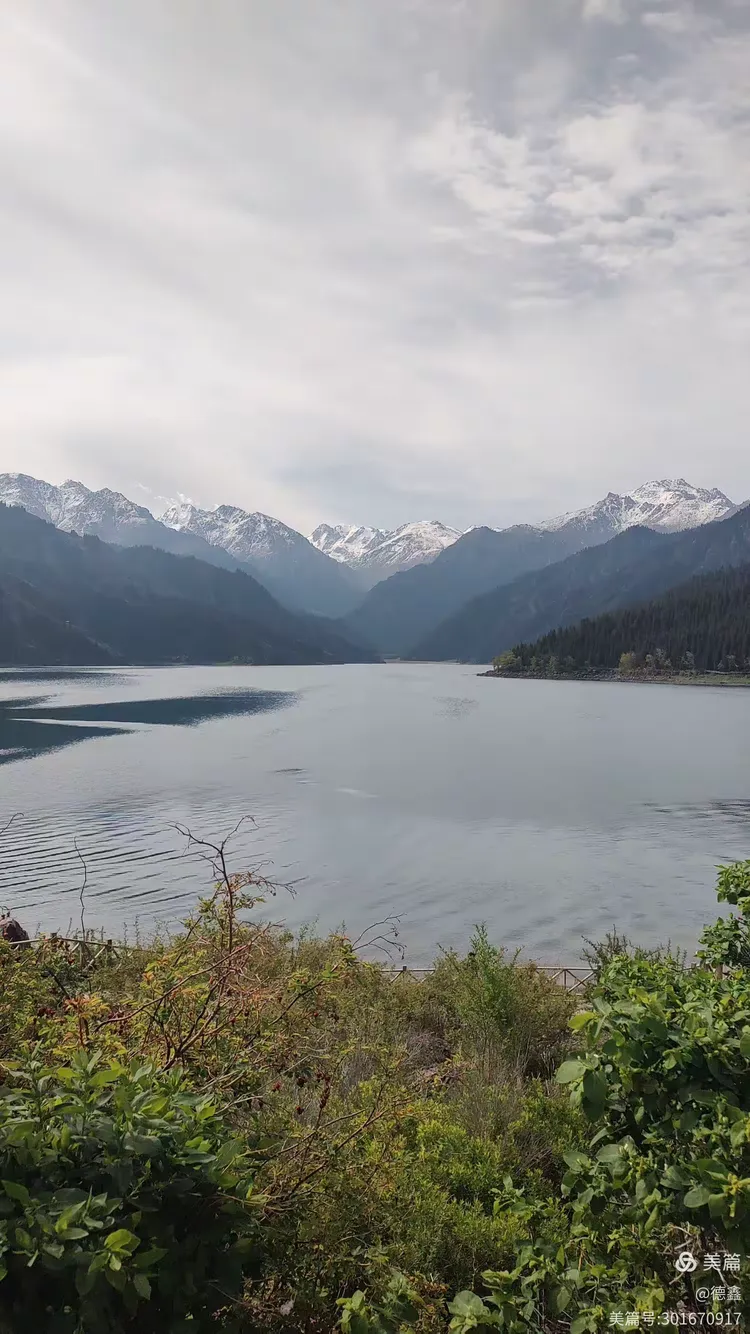 大连去新疆天山天池景点