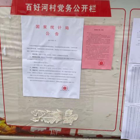 平利县统计局:做好劳动力宣传