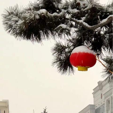 瑞雪迎新春，大地更妖娆