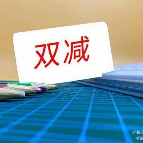 “双减”下魏庄街道中心小学三年级三班丰富多彩的课外生活