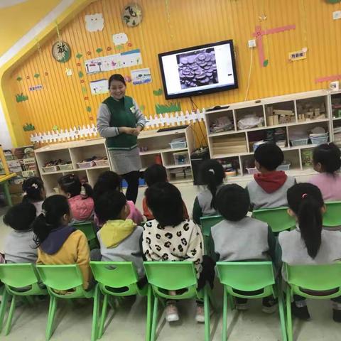 昌大幼儿园樱桃班区域活动观摩 植物角《蘑菇菌包的种植》