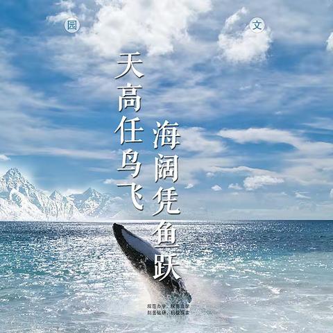 海阔凭鱼跃，天高任鸟飞——曾都区白云湖学校社团活动