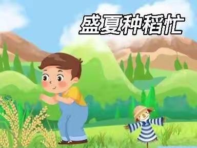 盛夏种稻忙 劳动促成长——我的小水稻种植观察日记