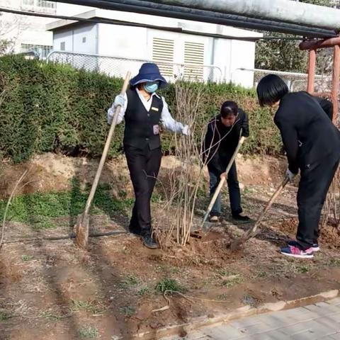 做好绿化养护，美化环境卫生-宁夏金鹰保安物业服务有限公司顺宁片区