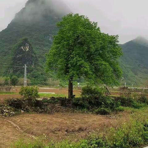 漫步碧道有感