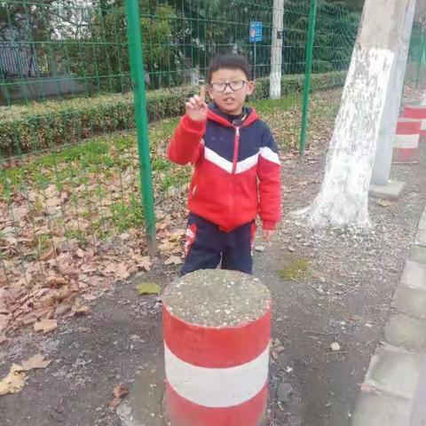 神墨教育：风采小明星