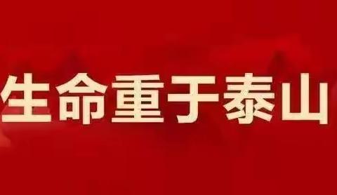 “安全、防疫”两不误，武安市应急管理局开展节假日期间督导检查工作