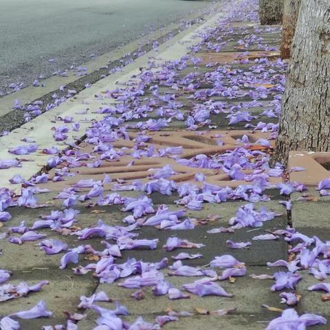 春城夏日浪漫季