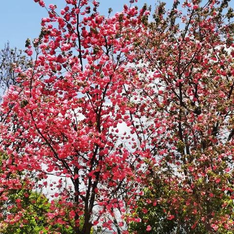 我把春色拥入怀