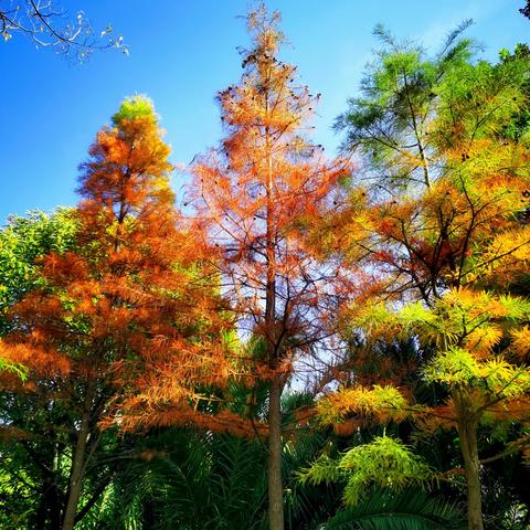 专属于昆明的冬季