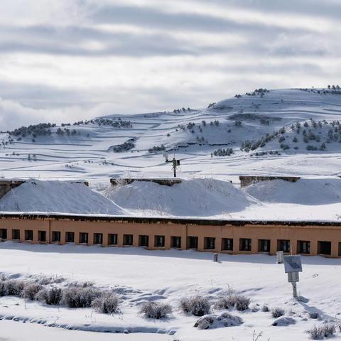 2024年打鸟的苦与乐