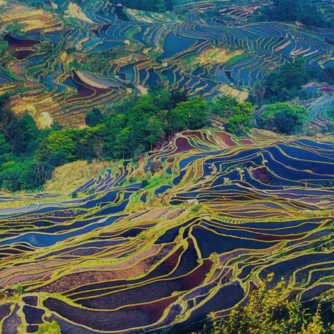 云南、贵州采风纪实