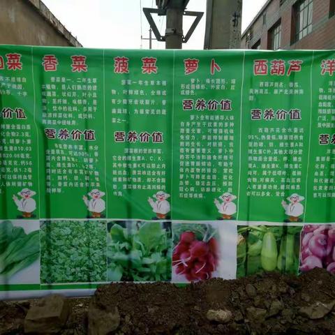 感受劳动的魅力一一酒店小学