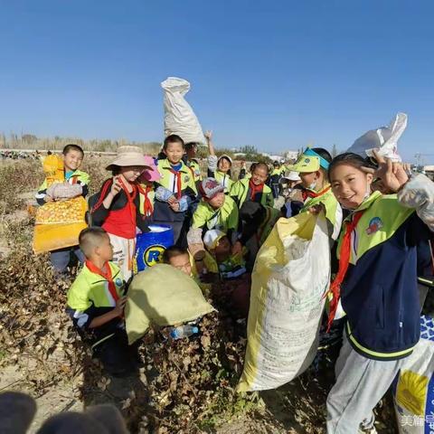 听钟结伴拾秋棉，白絮团团开笑口