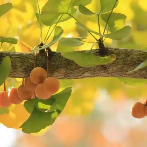 课改路上追梦前行——留村中学课改指导活动纪实