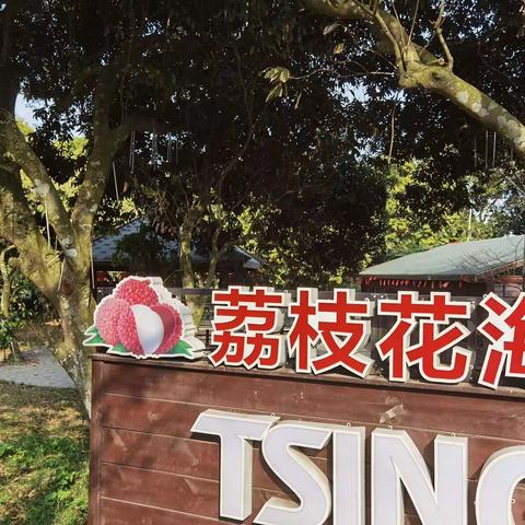 图说火山岩荔枝花海春之旅