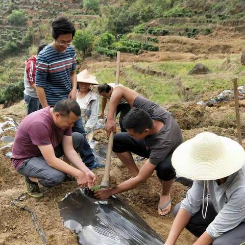 助力烤烟农，劳动最光荣！