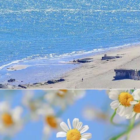 岗位练兵磨技艺，以赛促教展风采——建平县榆树林子赛区活动纪实