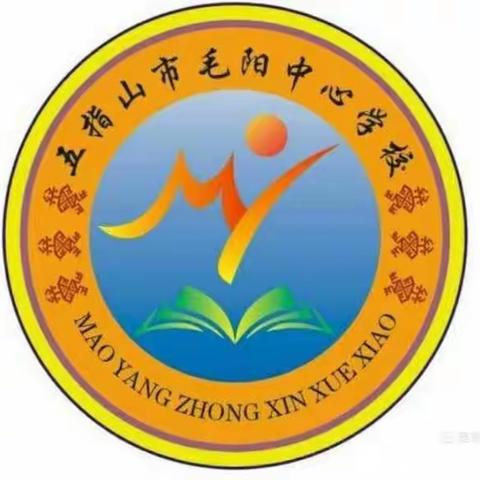 新光熠熠，展露风采——毛阳中心学校支教生教研活动简报