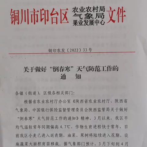 印台区气象局：三部门“联合”守护农业生产  防范“倒春寒”